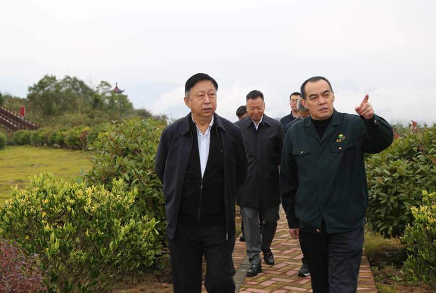 19-2021年10月，原國土資源部副部長汪民蒞臨公司調研。.jpg